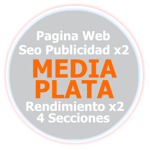 Pagina Web Bronce Pagina Web Plata